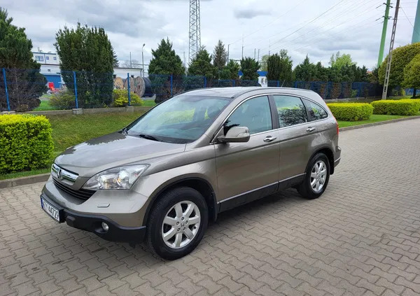 honda cr-v żyrardów Honda CR-V cena 37700 przebieg: 163000, rok produkcji 2008 z Żyrardów